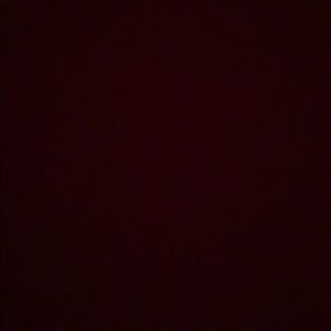 Meet your Posher, Dolores